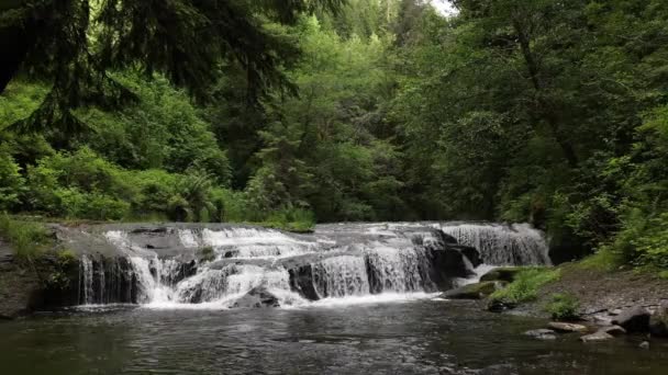 Relaksujący Widok Pustynię Oregonie Wodospadem Sweet Creek — Wideo stockowe