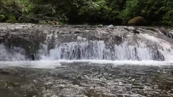 Oregon Daki Sweet Creek Teki Kayaların Üzerinde Çağlayarak Akan Sular — Stok video