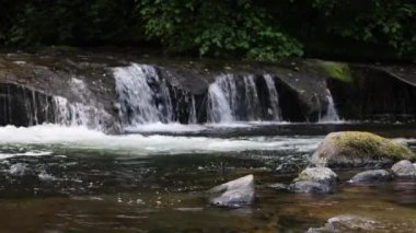 Sweet Creek 'te sudan çıkan kayalar Oregon' un vahşi doğasında çağlayan sular gibi..