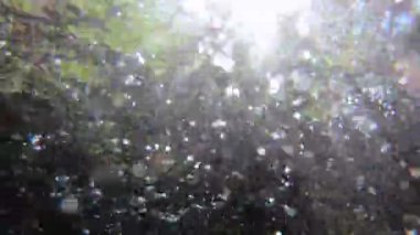 Su altı görüntüsü yüzeye bakıyor ya da ışık ışınları suyun içinde sallanırken nehir akıntısı.