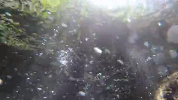 광선이 광야의 해류를 흐르는 거품들 — 비디오