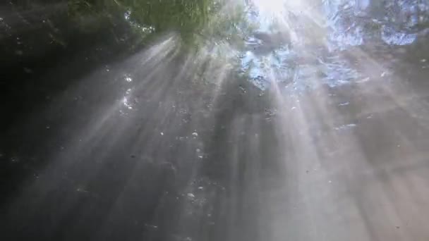 Raggi Del Sole Che Brillano Attraverso Fiume Visto Sott Acqua — Video Stock