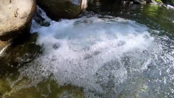 Corriente Montaña Burbujeando Mientras Una Pequeña Cascada Fluye Río Abajo — Vídeos de Stock