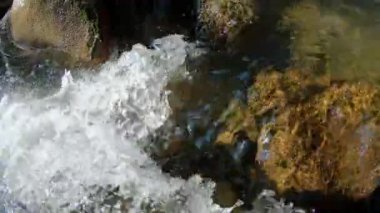 Utah çölünün sığ sularında akıntılar oluşurken nehre bakıyorum..