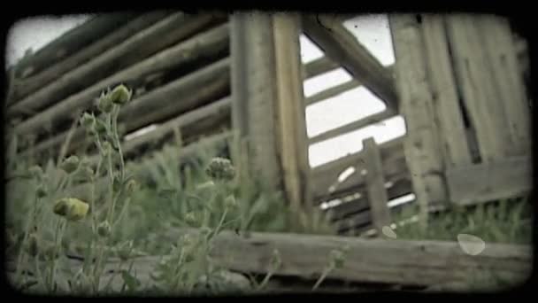 Flowers And Cabin Vintage Stylized Video Clip Stock Video