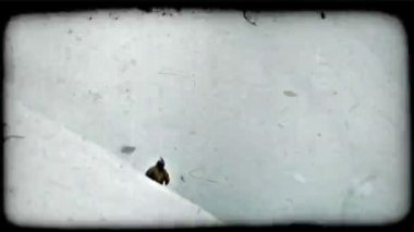 kayakçı Kayak dağ aşağı