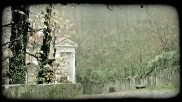 Camino Cubierto de Moss. Vintage clip de vídeo estilizado . — Vídeos de Stock