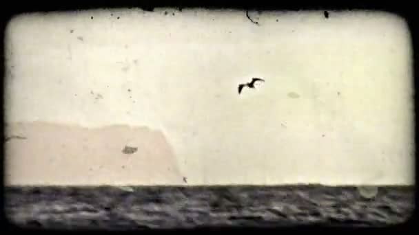 L'oiseau survole l'eau. Vintage stylisé clip vidéo . — Video