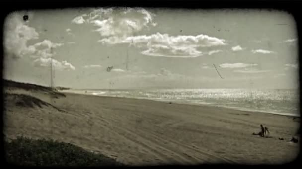 Sprankelende Hawaïaans strand. Vintage gestileerde videoclip. — Stockvideo