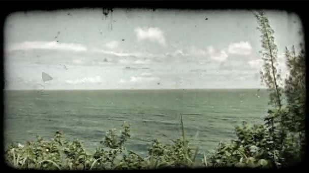 Öde strand scen. Vintage stiliserade videoklipp. — Stockvideo