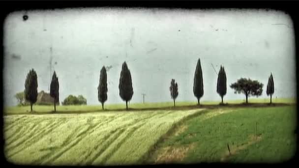 Paesaggio italiano. Clip video stilizzato vintage . — Video Stock