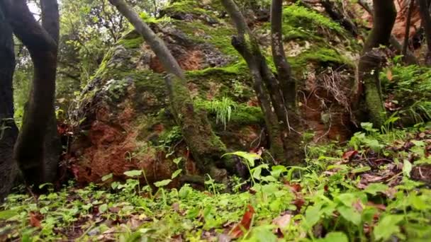 Flanc de colline dans la gorge de la rivière Iyon Tanur — Video