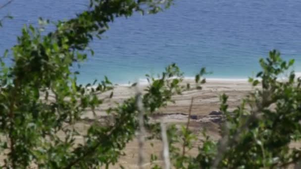 Aufnahmen von Grünflächen am Toten Meer in Israel — Stockvideo