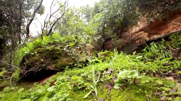 Rocas que atraviesan el río Iyon Tanur — Vídeo de stock