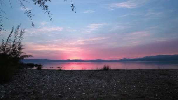 Bomen aan de oever van het meer van Galilea — Stockvideo