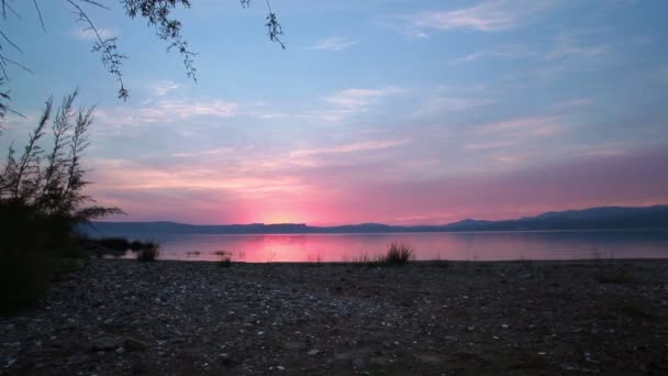 Дерева на березі Галілейського моря — стокове відео