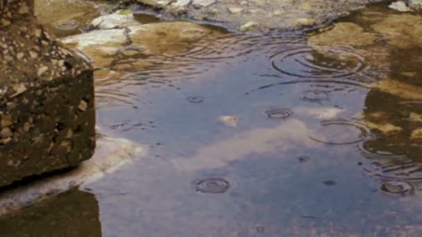 Vídeo de archivo de la lluvia en un antiguo piso de la ruina en Bar 'am filmado en Israel — Vídeo de stock