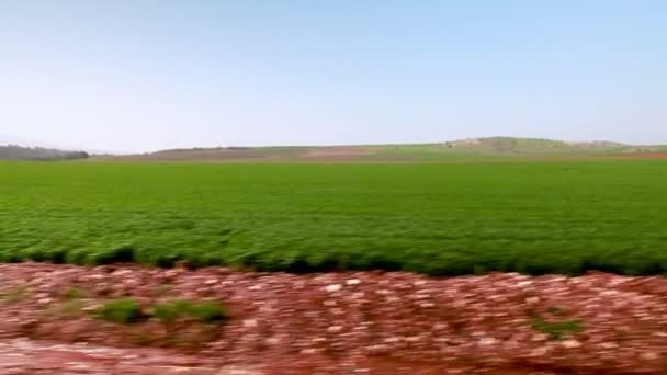 Ейн Harod сільськогосподарських угідь область Ізраїлю — стокове відео
