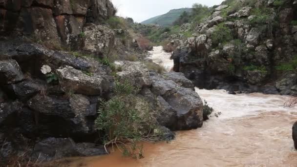 Stock Footage van een turbulente, bruin rivier met rotsachtige oevers in Israël. — Stockvideo