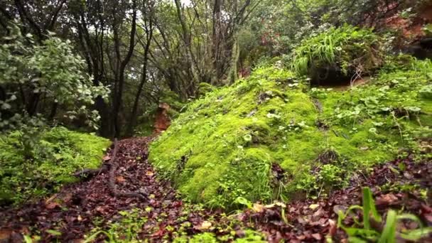 Over de rivier van de Iyon Tanur keien — Stockvideo