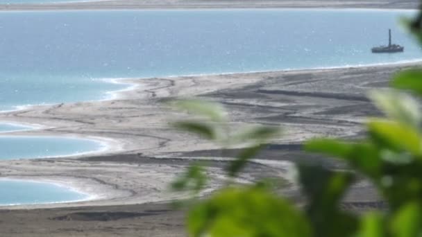 Νεκρά θάλασσα στο παρασκήνιο με κλαδιά που ταλαντεύονται από το breez — Αρχείο Βίντεο