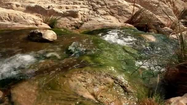 Imágenes de agua cayendo en cascada por las rocas musgosas en un desenfoque en Israel . — Vídeos de Stock