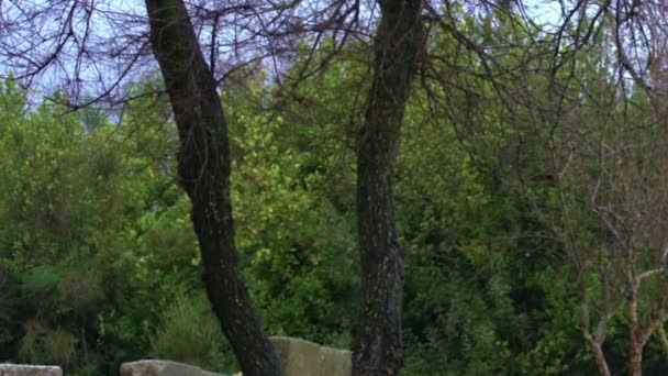 Panorama de las ruinas de Bar 'am filmadas en Israel — Vídeos de Stock