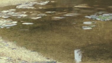 İsrail'de telif ücretsiz stok Video görüntüleri düşmüş bir sütunun vurdu