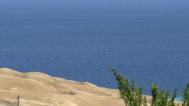 Mavi Dead Sea, İsrail uzun boylu çimenli willow ile vurdu