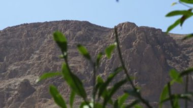 Kibbutz Ein Gedi dağa