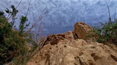 Ein Gedi tabiatı İsrail
