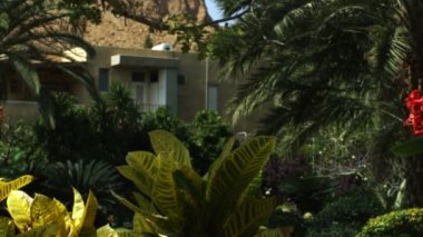 Telif Ein Gedi, ücretsiz stok Video görüntüleri oasis Kibbutz İsrail'de vurdu.