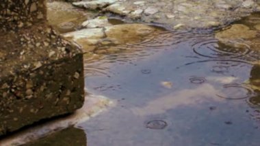 Yağmur Bar'am adlı bir eski harabe katta stok Video görüntülerini İsrail'de vurdu