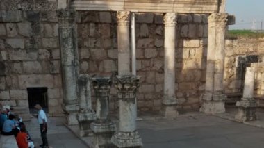 sinagog Harabeleri, Tur grupları