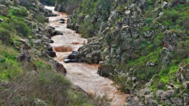 İsrail yeşil ve kayalık bankalarla silty Nehri'nin stok görüntüleri.