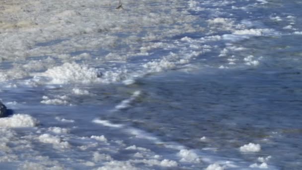 Panorama de la côte salée de la mer Morte en Israël — Video