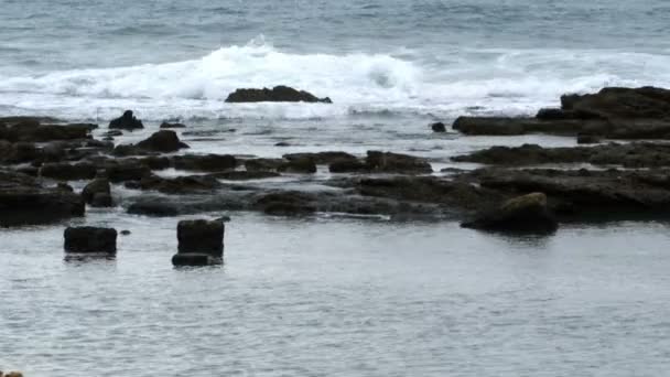 Vagues et rivages rocheux en Israël — Video