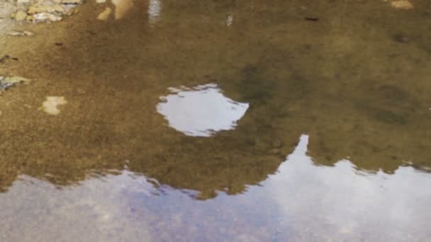 Royalty Free Stock Video Footage of the wet floor of the Bar'am ruins shot in Israel — Stock Video