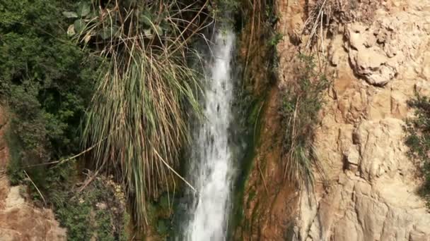Cascadas de Nahal David en Israel — Vídeos de Stock