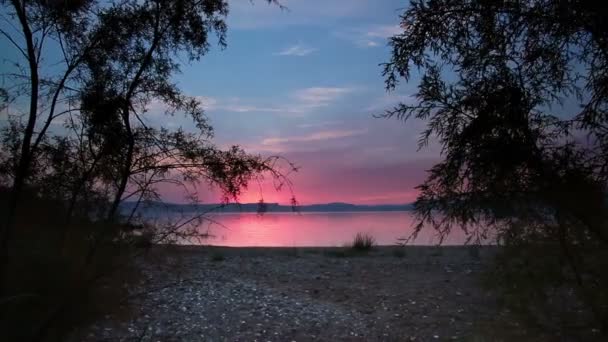 Trees on the shore of the Sea of Galilee — Stock Video