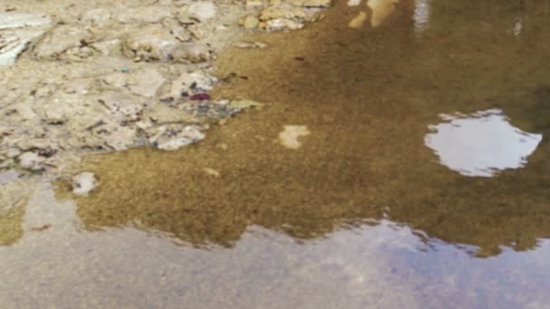 Licencovaní volného skladem Video záběry z mokré podlaze Bar'am ruiny výstřel v Izraeli — Stock video