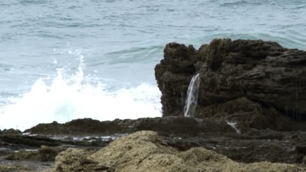 Golven en rotsachtige kust in Israël — Stockvideo