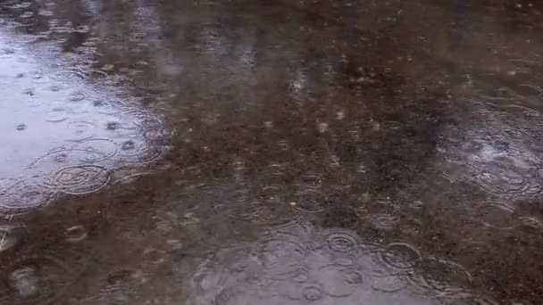 Nahrávku pršelo v louži na beton v Izraeli. — Stock video