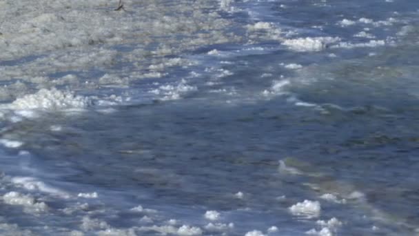 Littoral salé de la mer Morte en Israël — Video