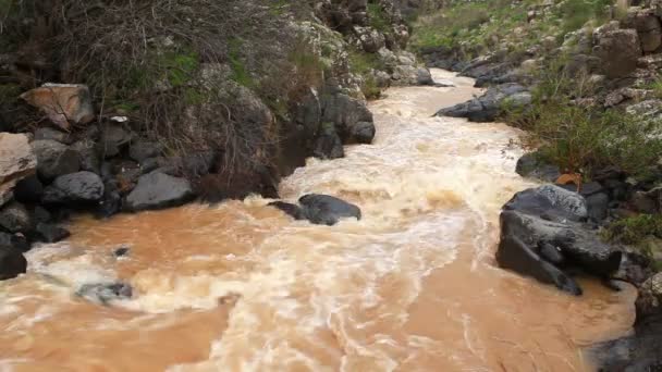 Archivio Filmati di cataratta in un fiume limoso in Israele . — Video Stock