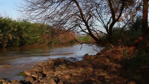 (Inggris) Stock Footage of a rocky bank of the River Jordan in Israel . — Stok Video