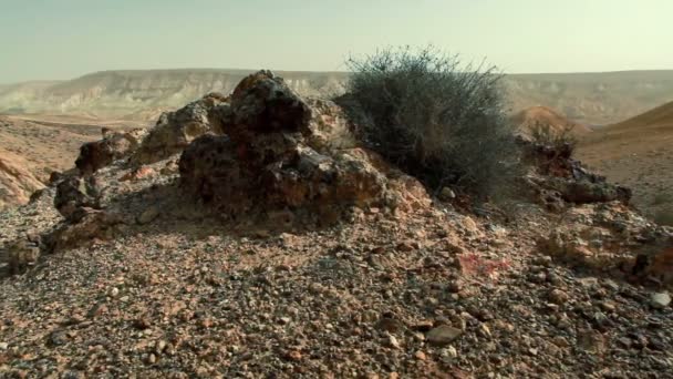 Stock Filmagem de uma paisagem rochosa do deserto em Israel . — Vídeo de Stock