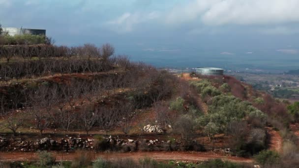 Imágenes de un huerto en terrazas en los Altos del Golán en Israel . — Vídeo de stock