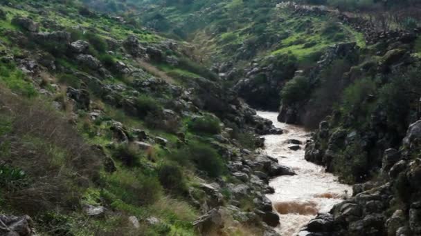 Nahrávku Golanských výšin řeka v Izraeli. — Stock video