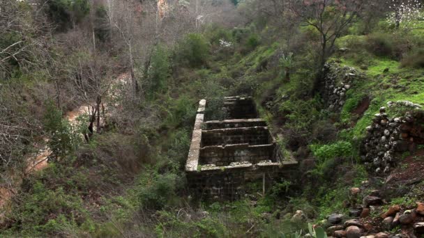 Stock Footage van de oude, stenen muren aan de oever van een rivier in Israël. — Stockvideo